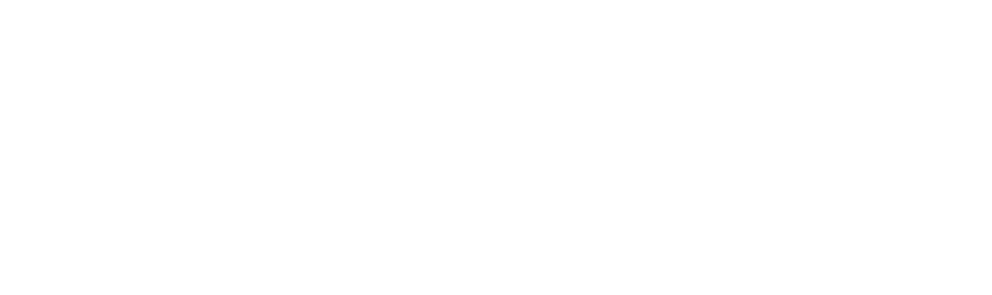 magna white logo